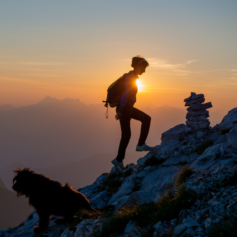 A person and dog on a mountain at sunset, a calming view to unwind and recharge.