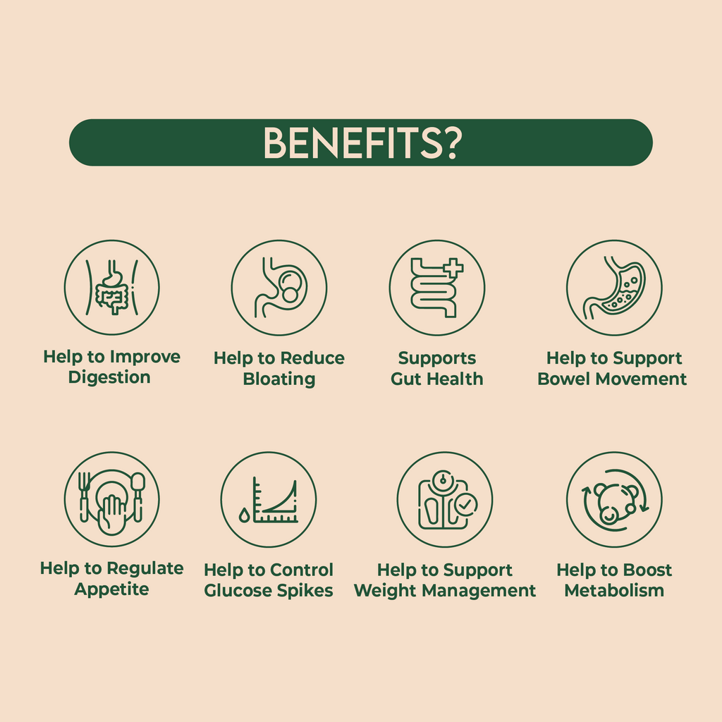 Benefits of GUT HEALTH SUPPORT like digestion, metabolism, appetite, and gut health improvement.