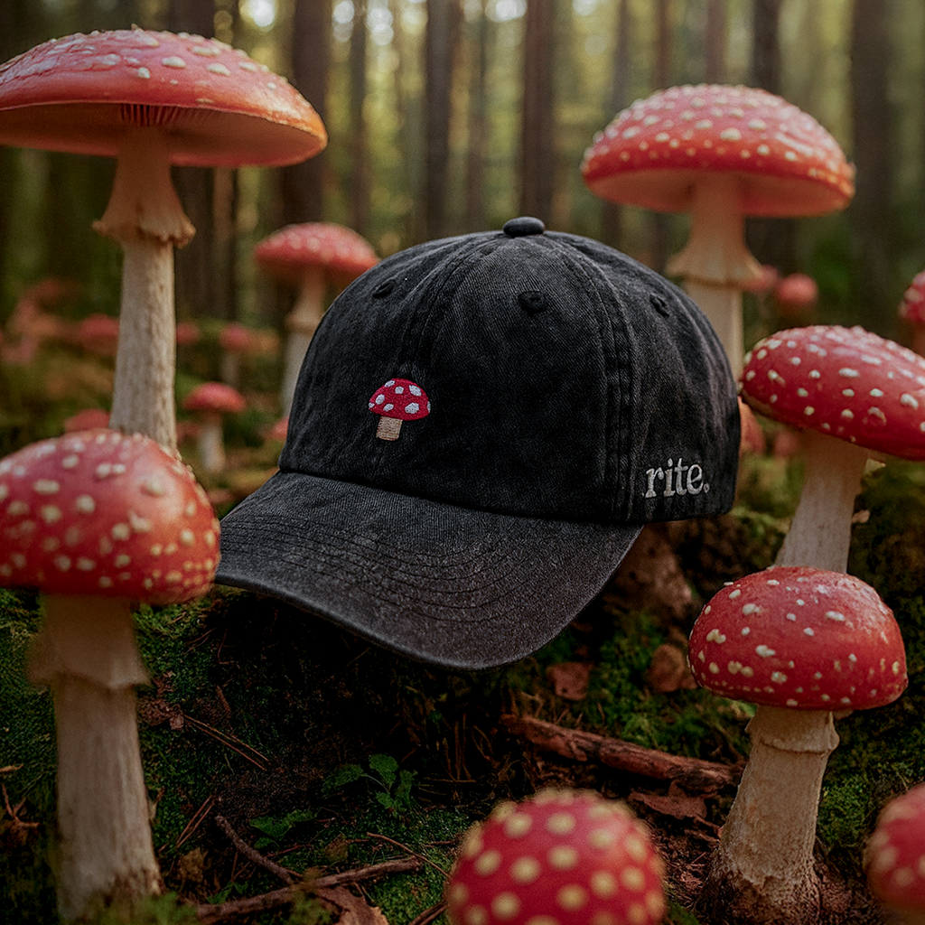 Mushroom Cap - Limited Edition | RITE.®